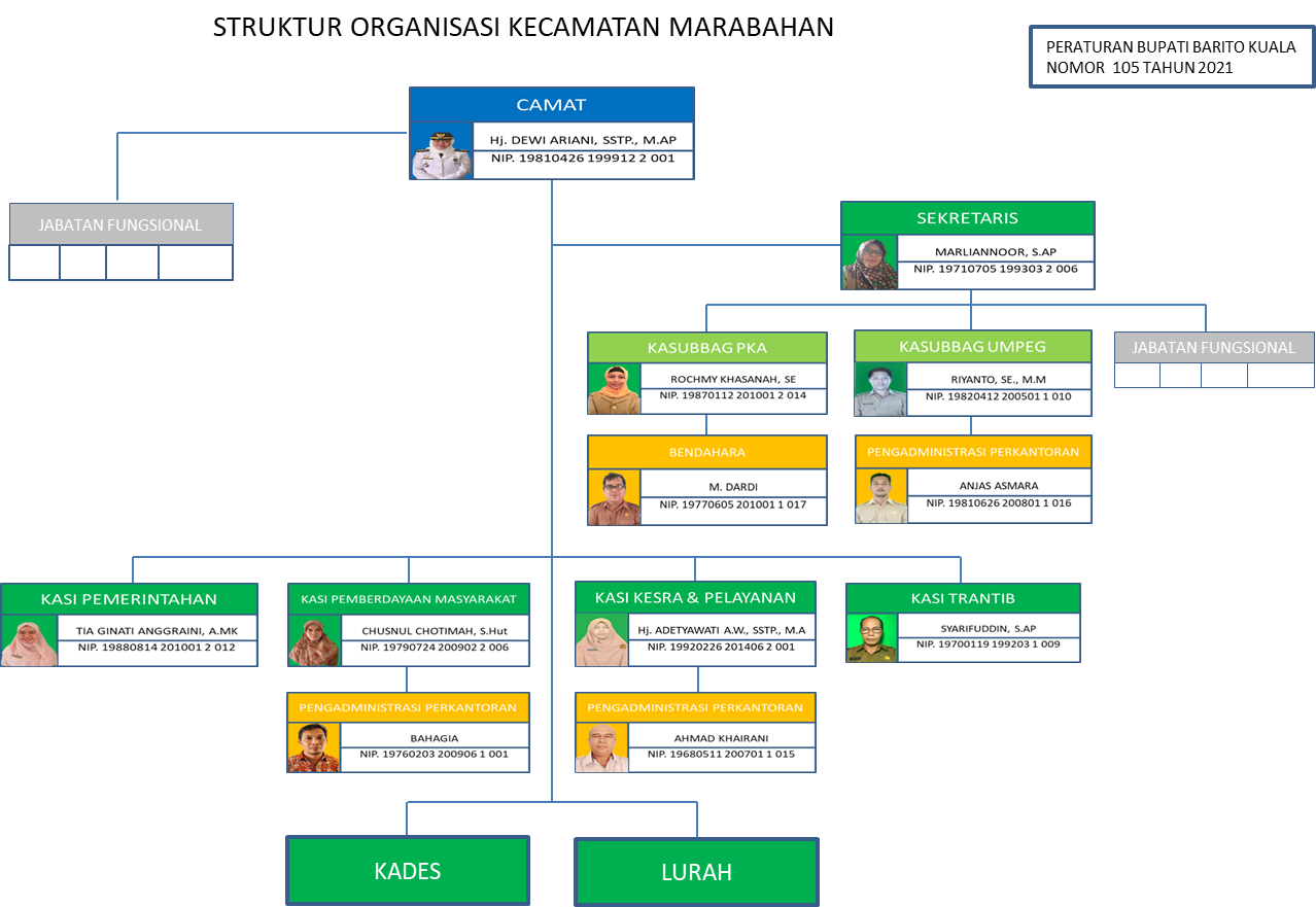 ORGANISASI